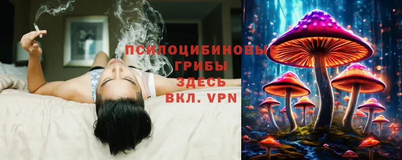 Псилоцибиновые грибы Cubensis  даркнет сайт  Алушта 